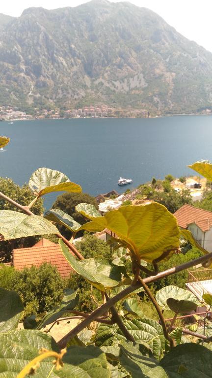 Apartment Angelina Risan Dış mekan fotoğraf